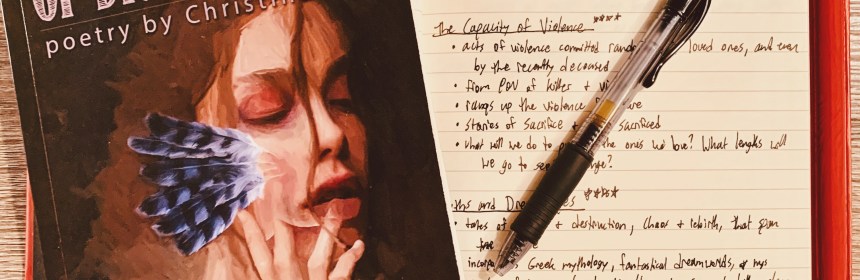 A Collection of Dreamscapes