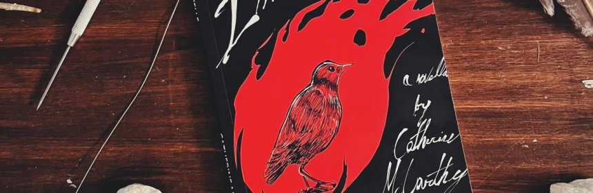 Immortelle book cover