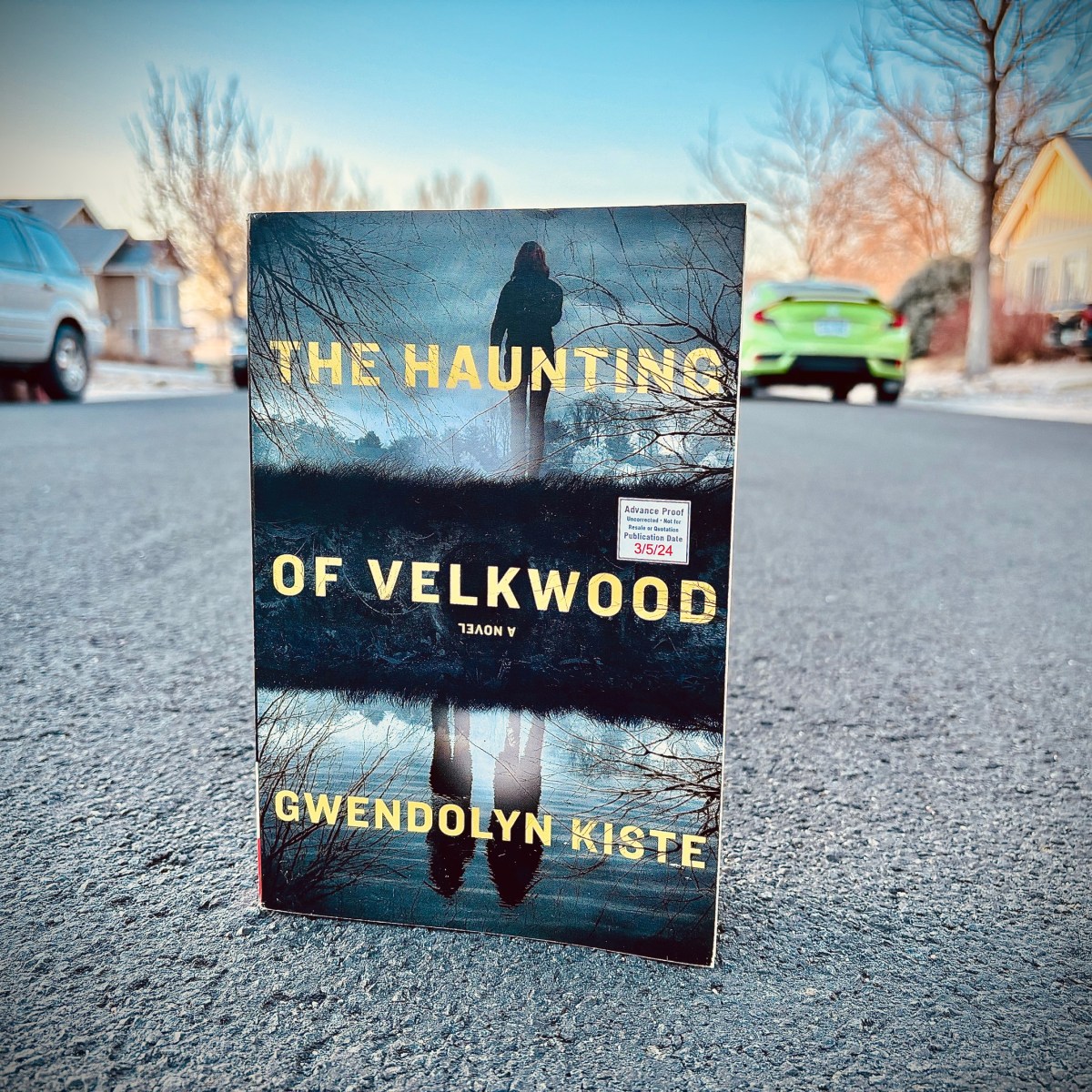 Book Review: The Haunting of&nbsp;Velkwood