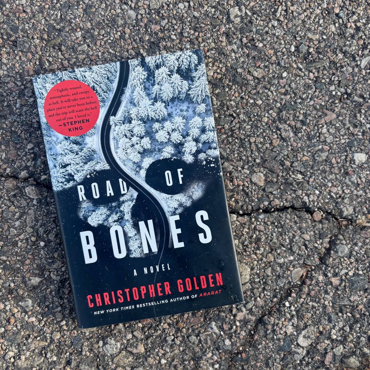 Book Review: Road of&nbsp;Bones